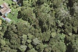 202 Shaw Road, Oratia, Auckland