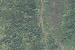 0 Limestone Road, Cape Foulwind, Cape Foulwind