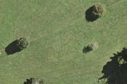 26 Nanjing Road, Pukekohe, Pukekohe