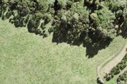 184 Whitmore Road, TAWHARANUI PENINSULA, MATAKANA