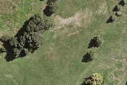 19 Collar Lane, Ōpaheke, Papakura