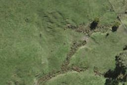 0 Centennial Park Road, Wellsford, Wellsford