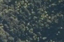 2532 State Highway 1, BRYNDERWYN, MAUNGATUROTO