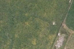 0 Piripiri Rd, Dannevirke, Dannevirke