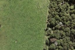 84 Te Aniwaniwa Terrace, Albany, Auckland