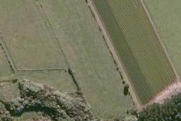 0 State Highway 12, Kaikohe, Kaikohe