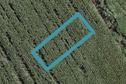 59 Mutetai Road, Clarks Beach, Clarks Beach