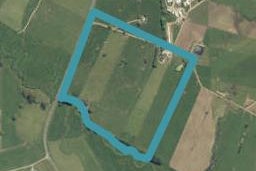 699 Morrinsville-Walton Road, Morrinsville, Morrinsville