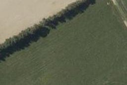 59 Pokerekere Crescent, Kelvin Grove, Palmerston North