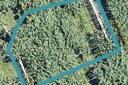 1 Te Rina Boulevard, OMOKOROA
