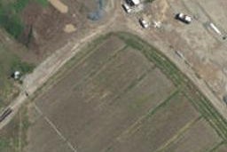 6 Ambrosia Street, Appleby, Richmond
