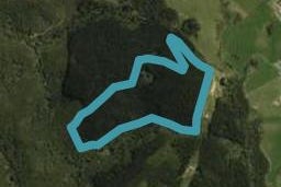 233A Sandford Road, Ruakaka, Ruakākā