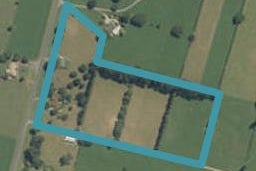 298 Tower Road, Matamata, Matamata