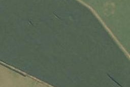 0 Taihoa Road, Matamata, Matamata