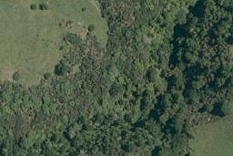 0 Shearer Road, Te Puke, Te Puke