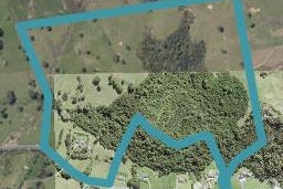 296 Horseshoe Bush Road, Albany