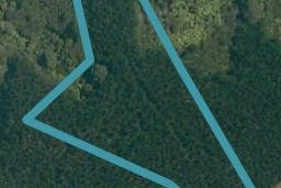 260 Austin Road, Dairy Flat, Dairy Flat