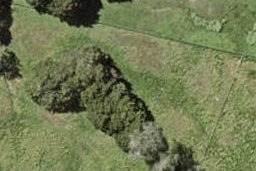 142 Argento Avenue, Flat Bush, Auckland