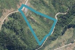 0 Mangahao Road, Shannon, Shannon