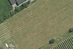 31 Knights Lane, Grovetown, Blenheim