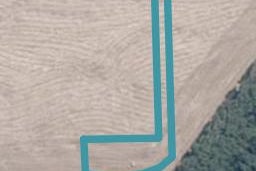 7 Gully Lane