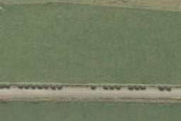 85 Braudigam Road West, Tapanui
