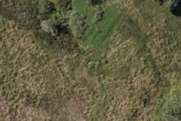 20 Royal Saint Annes Drive, Te Kamo, Whangārei