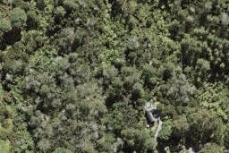 2 Hardens Lane, Paremoremo