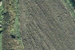 0 State Highway 35, Te Kaha, Te Kaha