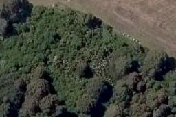 0 Domain Road, Ruawai, Ruawai