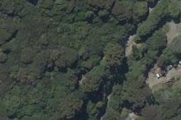 55 Rudd Road, Halfway Bush, Dunedin
