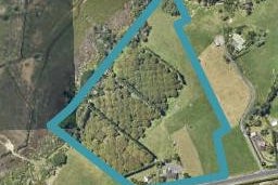 113 Tanners Point Road, Tanners Point, Katikati