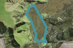 199 Bethells Road, Henderson