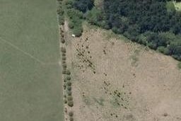 164 Metcalfe Road, Matakohe