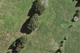 10 Stableford Crescent, Ōpaheke, Papakura