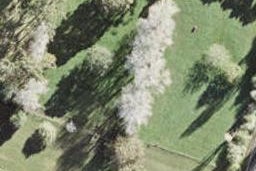 129 Postman Road, Dairy Flat, Dairy Flat