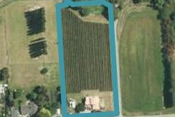 118 David Street, Yelverton, Blenheim