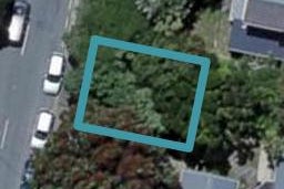 9 Washington Avenue, Brooklyn, Wellington