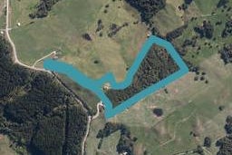 241 J V Grant Road, Wellsford, Wellsford