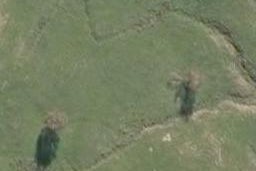 0 Rusk Road, Towai, Hikurangi