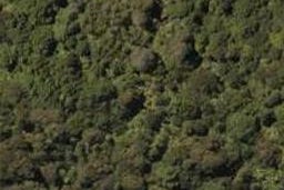 0 Lake Ora Road, Te Kamo, Kamo