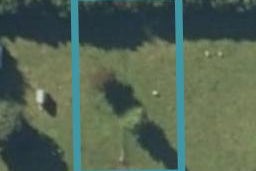 24 Temm Road, Te Poi, Matamata