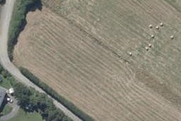 12 McFarlane Lane, Halfway Bush, Dunedin