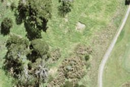 55 Ta Moko Drive, GULF HARBOUR, WHANGAPARAOA