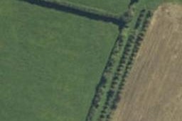 12 Bowman Road, Matamata, Matamata