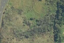 0 State Highway 23, Raglan, Raglan
