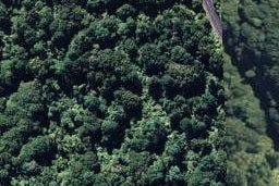0 Tarawera Road, Lake Okareka, Rotorua