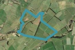 1179 State Highway 53, Martinborough, Martinborough