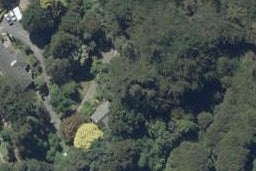 52 Birchfield Avenue, North East Valley, Dunedin