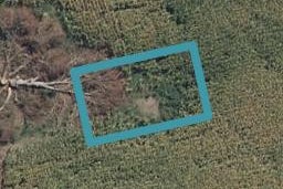 8 Celeste Terrace, Peacocke, Hamilton